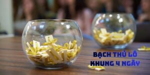 Bạch Thủ Lô Khung 4 Ngày