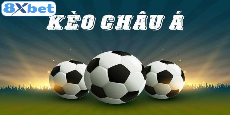 Các tỷ lệ chấp chi tiết tại 8xbet